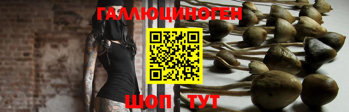 Псилоцибиновые грибы ЛСД  Псилоцибиновые грибы Psilocybine cubensis  цены   Димитровград  Вход с VPN 